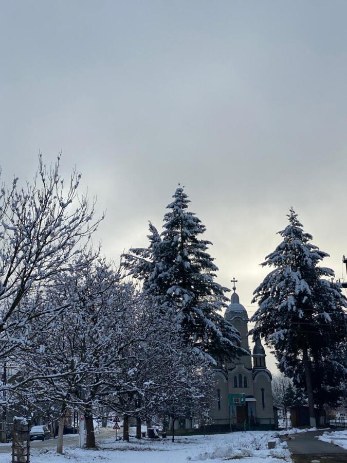 Casa Dea Villa Gladna Montana ภายนอก รูปภาพ